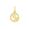 14K Gold Zodiac Charms and Adjustable GF Necklace