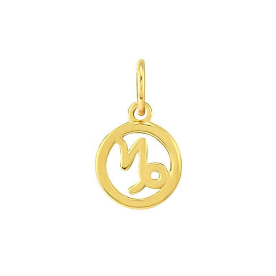 14K Gold Zodiac Charms and Adjustable GF Necklace