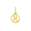 14K Gold Zodiac Charms and Adjustable GF Necklace