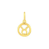 14K Gold Zodiac Charms and Adjustable GF Necklace