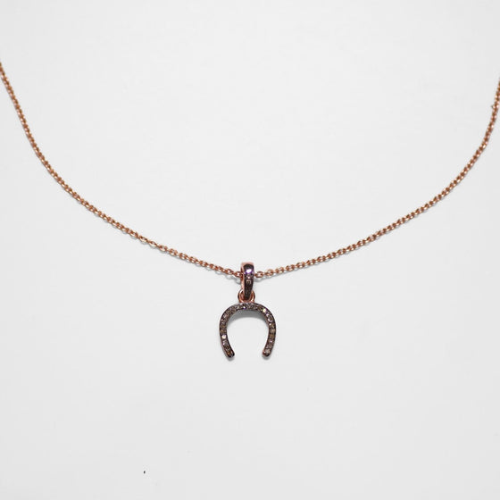 Horseshoe Charm And Necklace